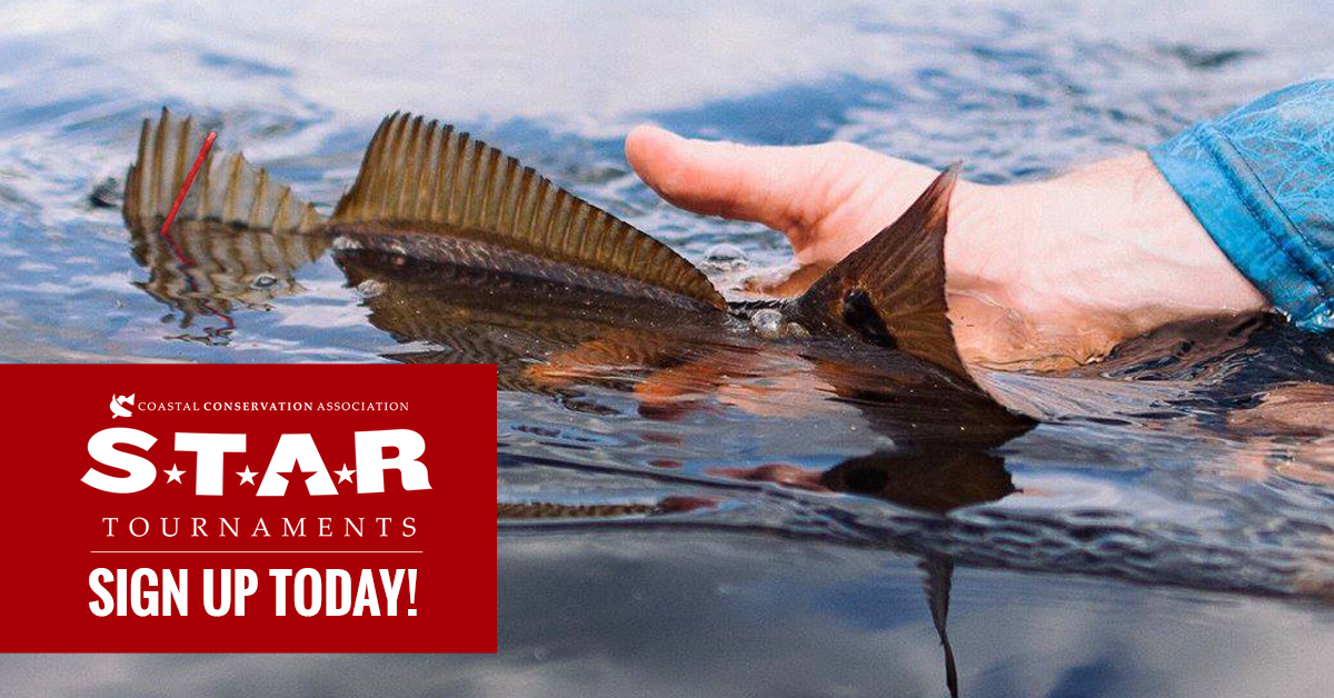 CCANational's tweet photo. FLORIDA AND SOUTH CAROLINA ANGLERS: Today is the day, STAR is officially underway!

Have you signed up?

If not, get registered before you head to the coast this weekend! 💻👉 https://t.co/xTkSlVrvqn

#NoTagrets #JoinCCA https://t.co/dsa2bpSD83