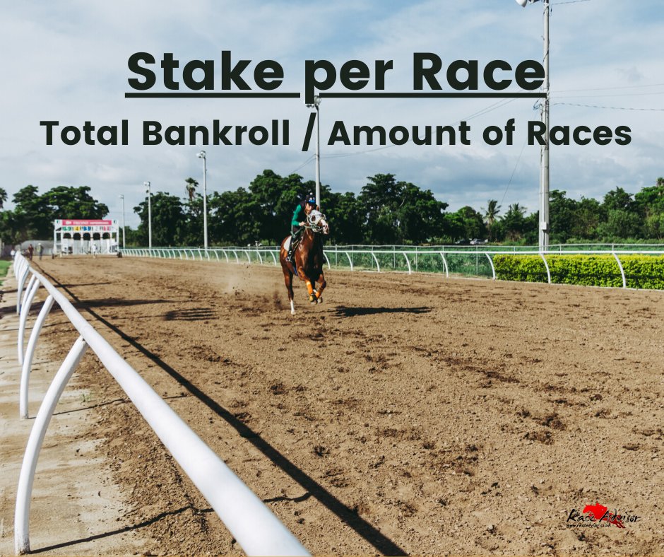 raceadvisor's tweet photo. #horseracing #winner #americasbestracing #thoroughbred #racehorse #horsesofinstagram #handicapping #horses #horseplayers #raceadvisor #theracingstrategist https://t.co/xieTJ1bY6Y