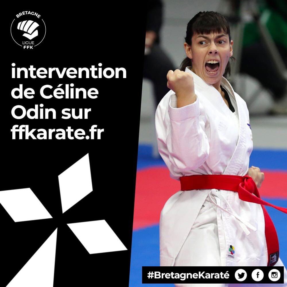 BretagneKarate tweet picture