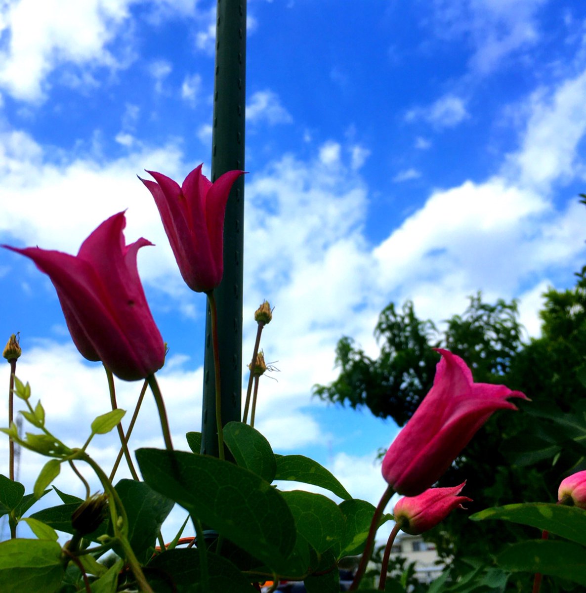 E5 8f 8a E5 9d 95 B0 Twitter Search