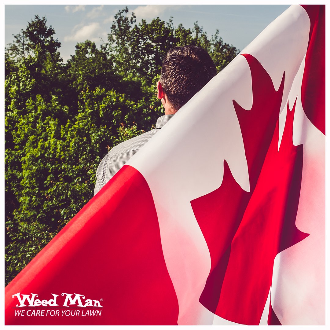 weedmanhamilton's tweet photo. Happy Canada Day from your friends at Weed Man Lawn Care. We hope you're spending the day out on the lawn! #CanadaDay #lawncare #wecareforyourlawn https://t.co/FKUdbSI0e8