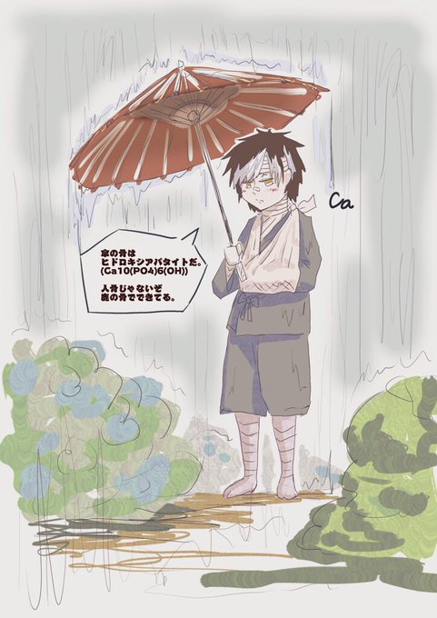 和傘のtwitterイラスト検索結果