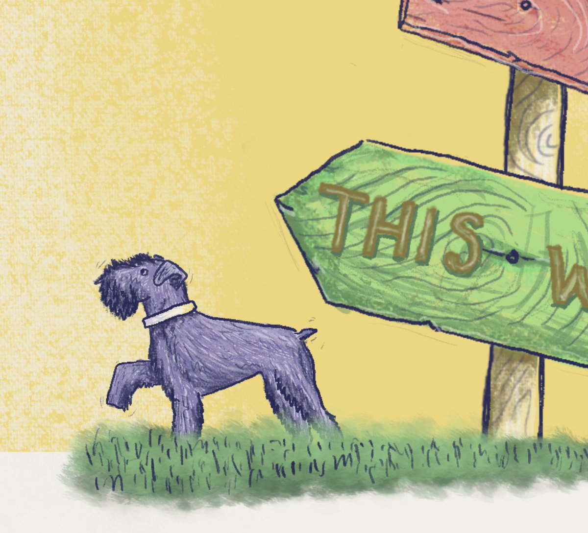 Fii 🤓📷 tweet media