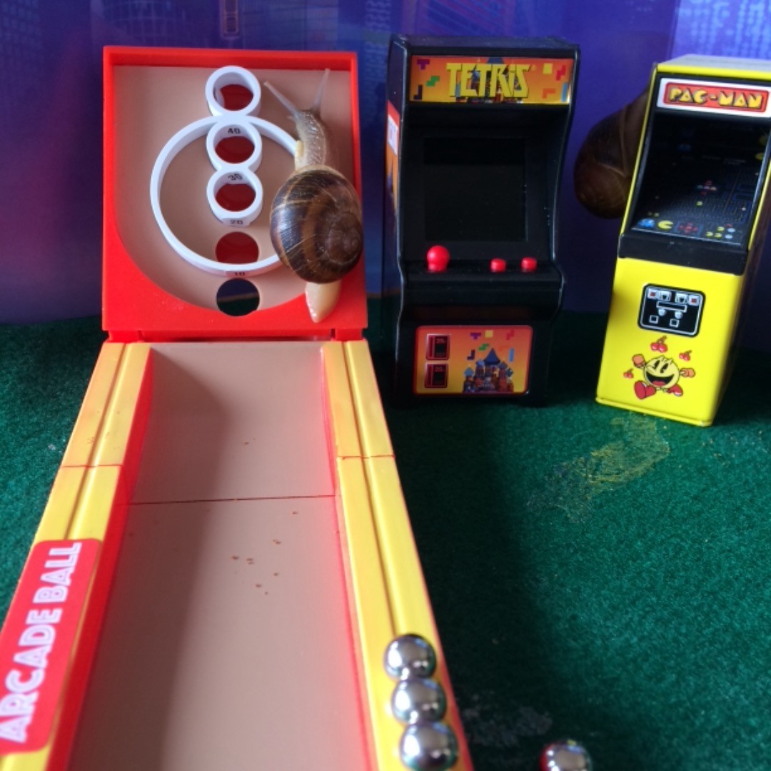 LOL!

📷 by <a href="/snailcircus/">snailcircus</a>
Cheating at Skee-ball.
#skeeball