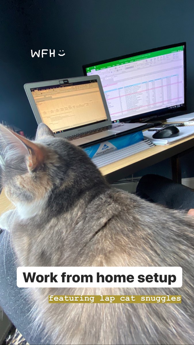 JL_Careers's tweet photo. What does a day in the life at Johnson Lambert look like while working remotely? Here's a highlight of Audit Associate Amanda Swim's day.
Check out @JL_Careers on Instagram for a full recap of Amanda's day: https://t.co/gsO0USY7Gf https://t.co/cI71cMBZF5