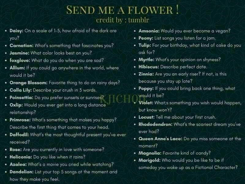 Hello, this account is handle by new owner for a while. If you want to keep in touch with me let's have some talk. You can choose randomly by this flower-question list.