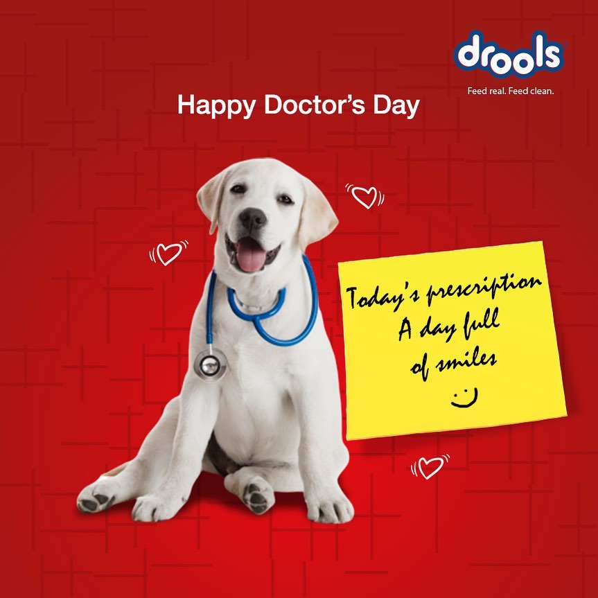 DroolsIndia's tweet photo. This #DoctorsDay, we prescribe happiness for your furry friends with nutritious and droolicious meals.πΆ
#DroolsIndia #FeedRealFeedClean #HappyDoctors #DoctorLife #MedicalProfessionals #DoctorsLife #RealNutrition #FeedReal #Droolicious #PetFood #PetCare #BringHomeAFurryFriend https://t.co/9uLyUutJAt