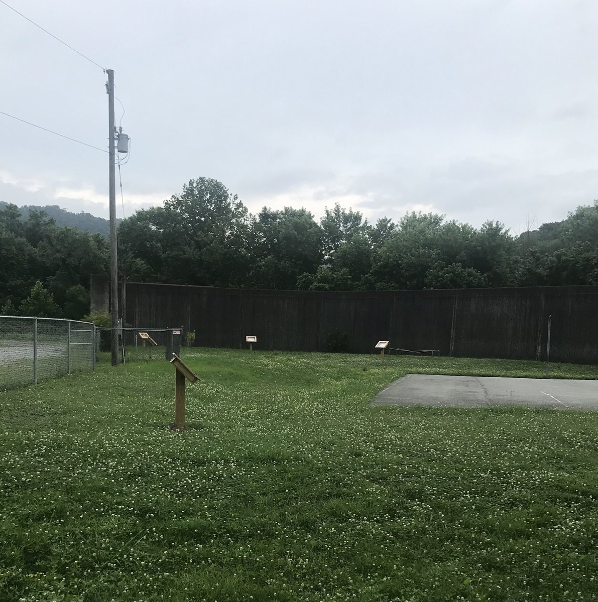 BeActiveWV's tweet photo. The Wolfpack Walk Trail was unveiled yesterday by our friends at Healthy in the Hills in Williamson, WV. It’s a 1/2 mile trail that circles Williamson PK-8 and promotes active living and learning for students and the community. #TakeBackOurHealthWV #activelearning #beactivewv https://t.co/leVfRjM8kw