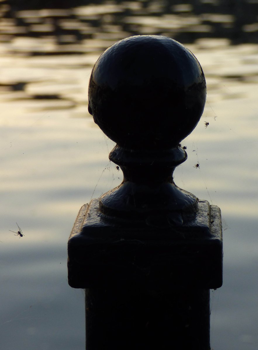 In28Days's tweet image. Day One - Spider Tower