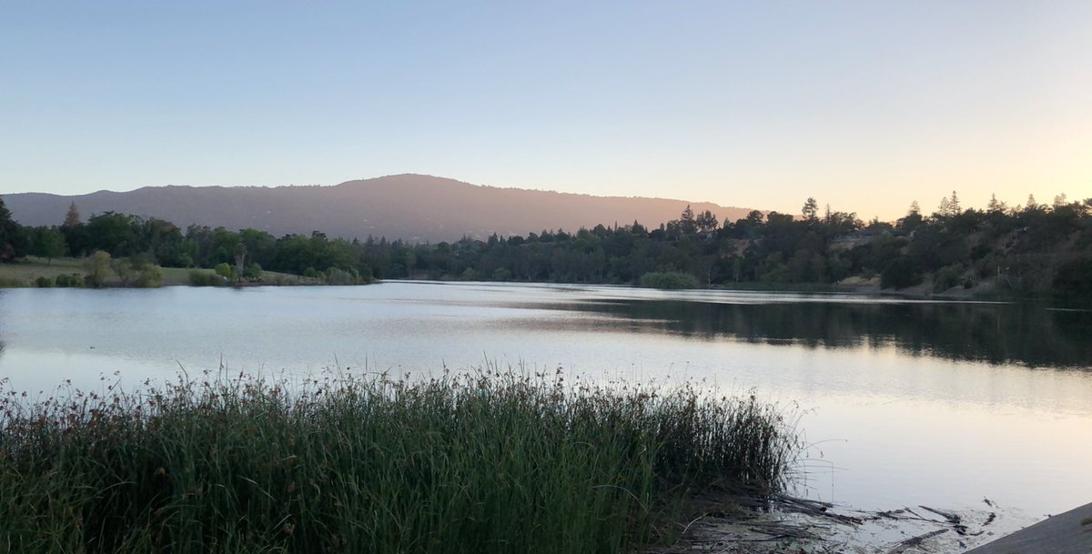 hellla_aloha's tweet image. 10 mile bike ride to this view.