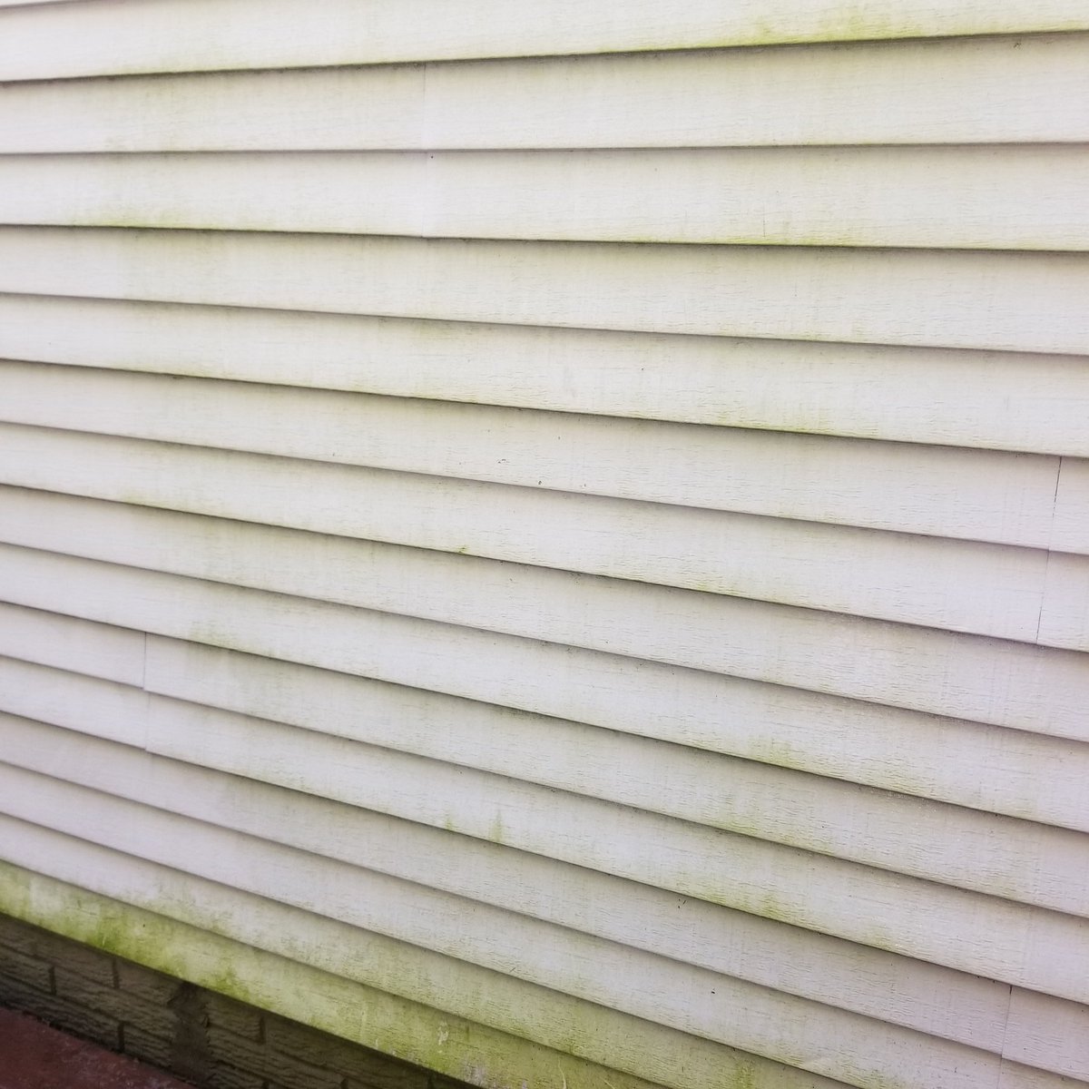 lorimylove's tweet photo. This siding has been driving me crazy...today's the day to try out #AtHomeWithGarySullivan 's recommendation of #WetNForget ...first 3 pictures are before, last is right after...supposedly now I just wait
#patienceisavirtue #todolist https://t.co/sBU5fFmA2e