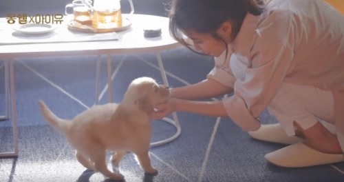 IU with doggos , a thread: