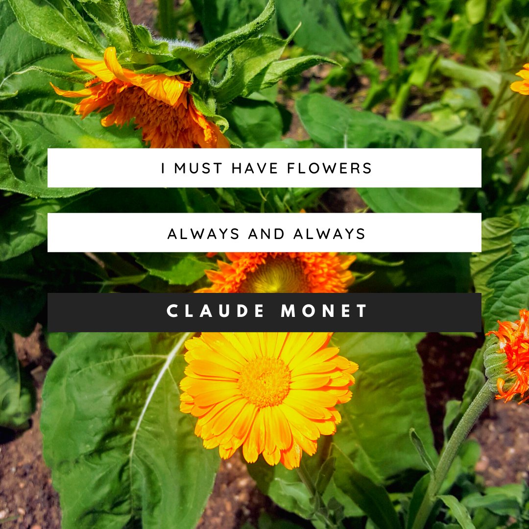 We simply must have flowers as well 🌻

#fullcolor #flowers