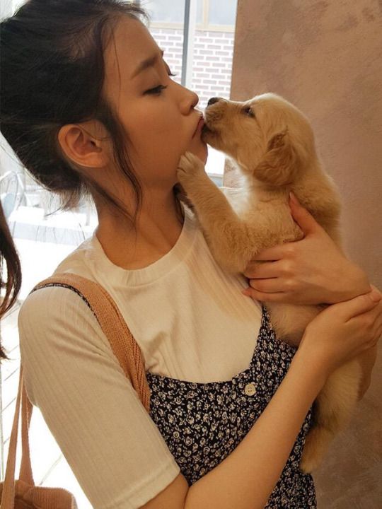 IU with doggos , a thread: