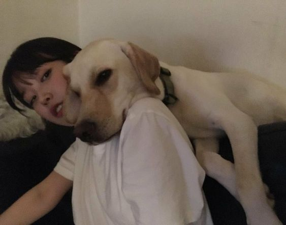 IU with doggos , a thread: