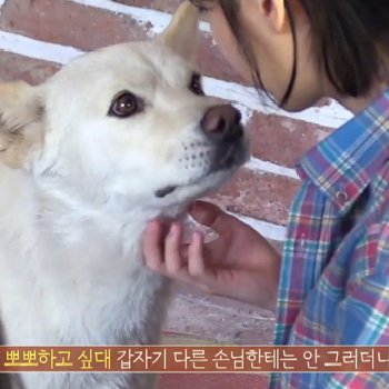 The way Guana looks at IU 