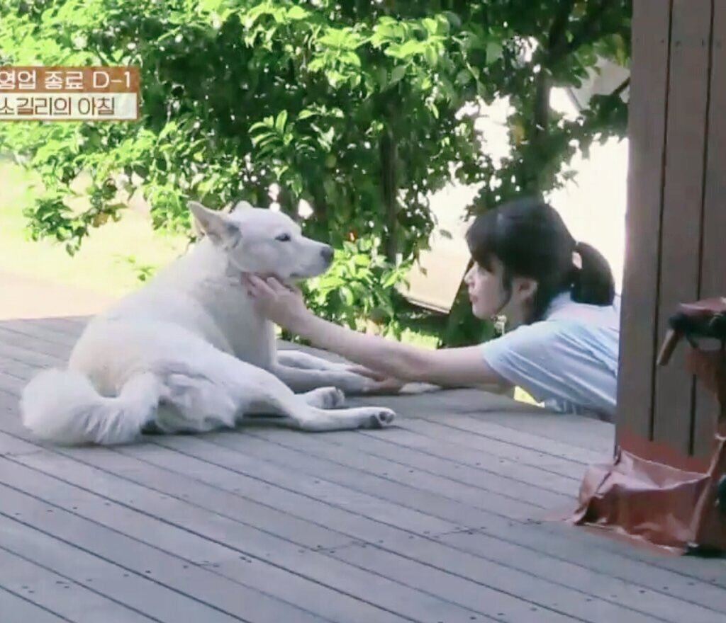 The way Guana looks at IU 