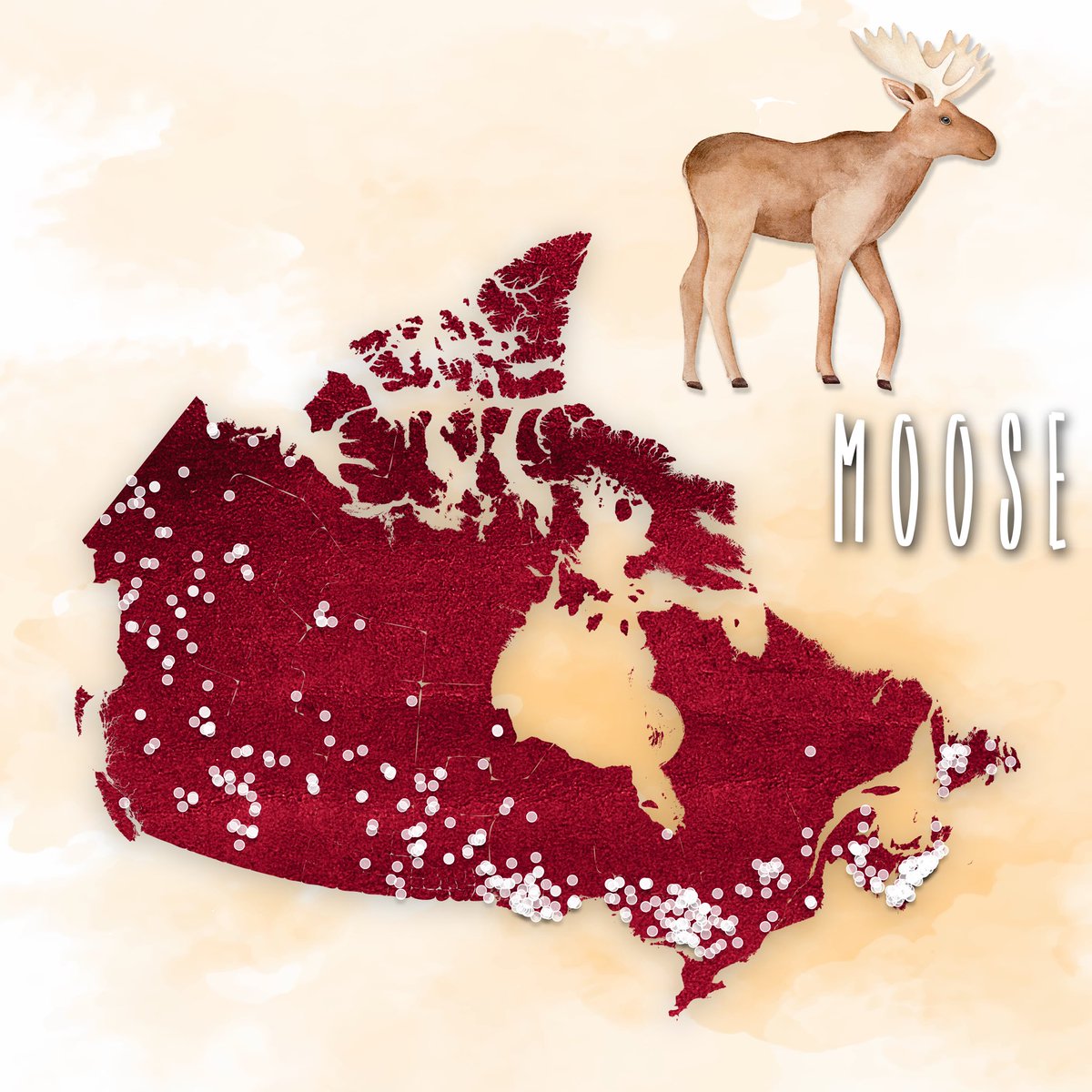 mappingming's tweet photo. Happy Canada Day! Check out the maps and the #storymap @MieEmilie and I made to celebrate Canada 🇨🇦 
https://t.co/Us0QeQ6T1x
#HappyCanadaDay #map #CanadaDay2020 #dataviz #cartography https://t.co/pp3bwLBf6O