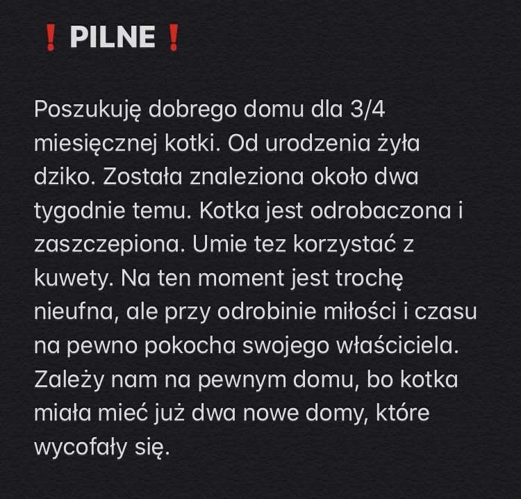 _fiishu's tweet photo. ❗️WAŻNE❗️
Mam małą kicie do oddania
Olsztyn i okolice
#rt #pilne #kotek #oddam #fitlipiec #wywiadzkpoperkami #wywiadztwitterowiczami #lipcowefollowspree #mojchlopak #mojcrush #tweetme #tweetmekurwa https://t.co/dFH9TrBNqL