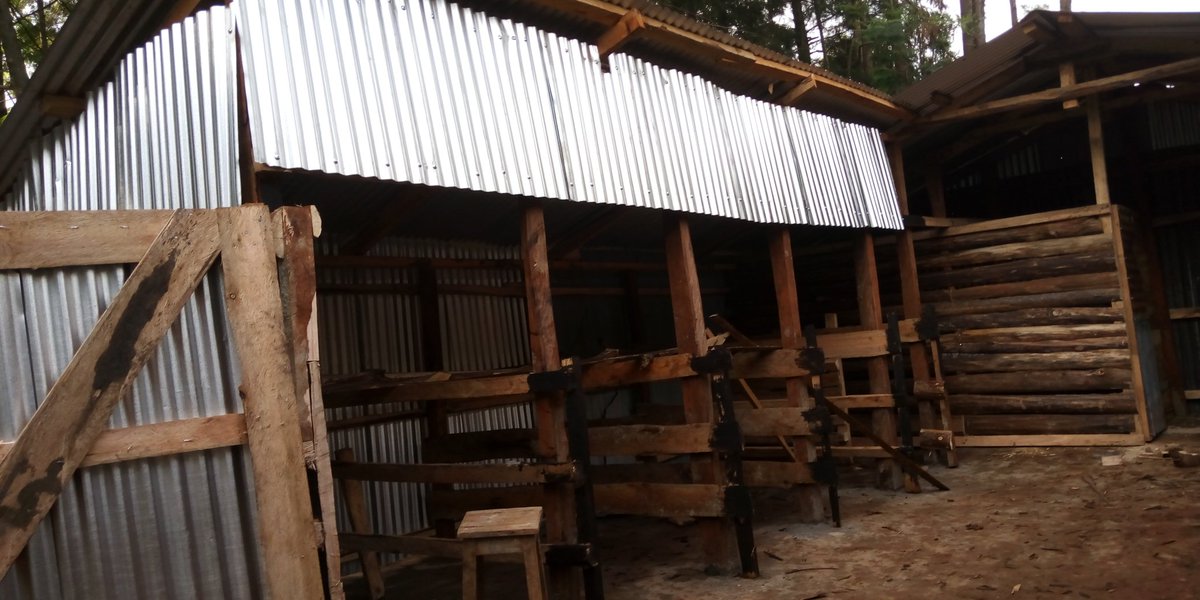 ProudCharger's tweet photo. Here a solution to a small scale dairy farmer ,a simple zero grazing unit. If you desire to have one you can reach out to us at 0727642890. We are based in Turbo ,Uasin gishu county.@rodgers_kirwa @Maxwel_Kiptanui @mkulimayoung https://t.co/qYMtO30cv1