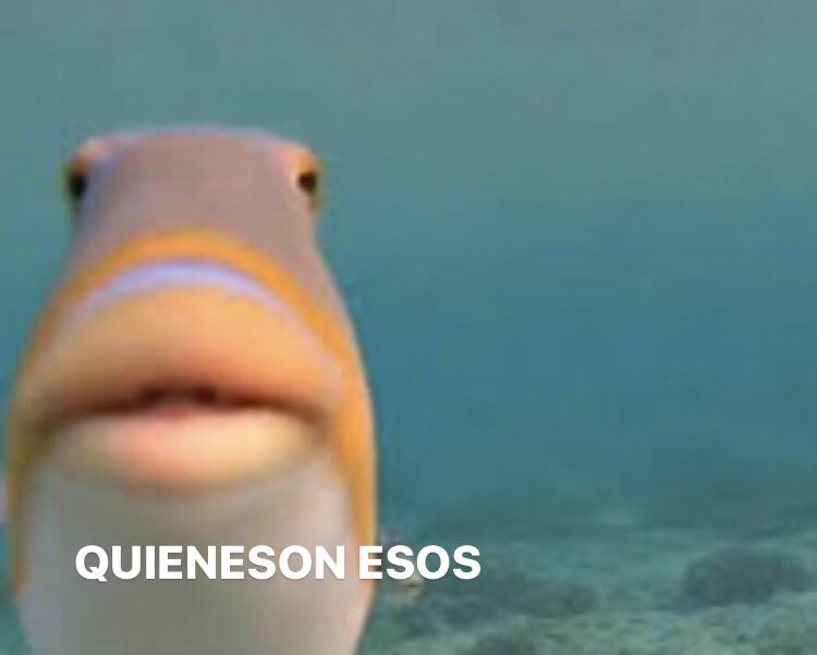 escueladenada's tweet photo. Tu mamá cuando pones Escuela de Nada. https://t.co/FkuCWRvZA6