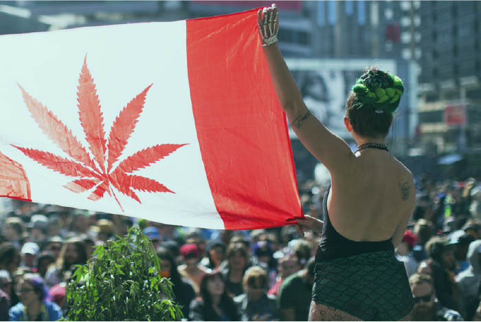 TeamStickyleaf's tweet photo. Happy Canada Day to all of our friends and partners up north!

#Canadaday https://t.co/bZr5YRAUhW