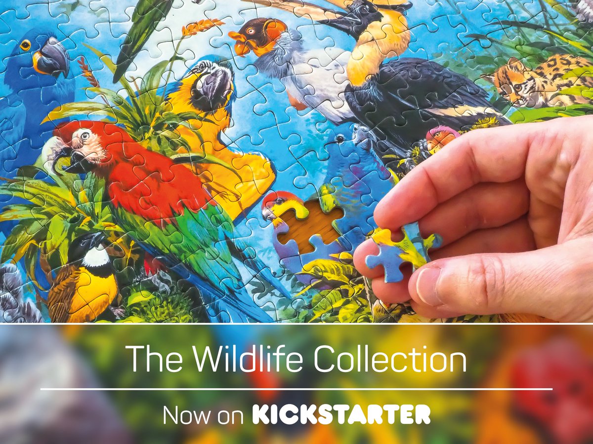 Kosacki's tweet photo. Who doesn't like a beautiful jigsaw puzzle? 🧩🦜🧩
Don't miss out! Now on @kickstarter
https://t.co/Gjiwj21FNx
#JigsawPuzzle #puzzle #wildlife #animals #nature #Kickstarter #DarwinsChoice #Treecer #Pieces1000 https://t.co/WeKyiutWvY