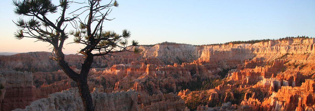 parkstamps's tweet photo. It's back! The photo contest over at https://t.co/U02L9xP9BX will be  4 times a year. Winning pics will be part of the photo carousel on the NPTC main page &amp; feature on our Facebook cover photo for 1 month each.
Congratulations to Alan K for his beautiful pic of Bryce Canyon NP! https://t.co/TwlhudAVfo