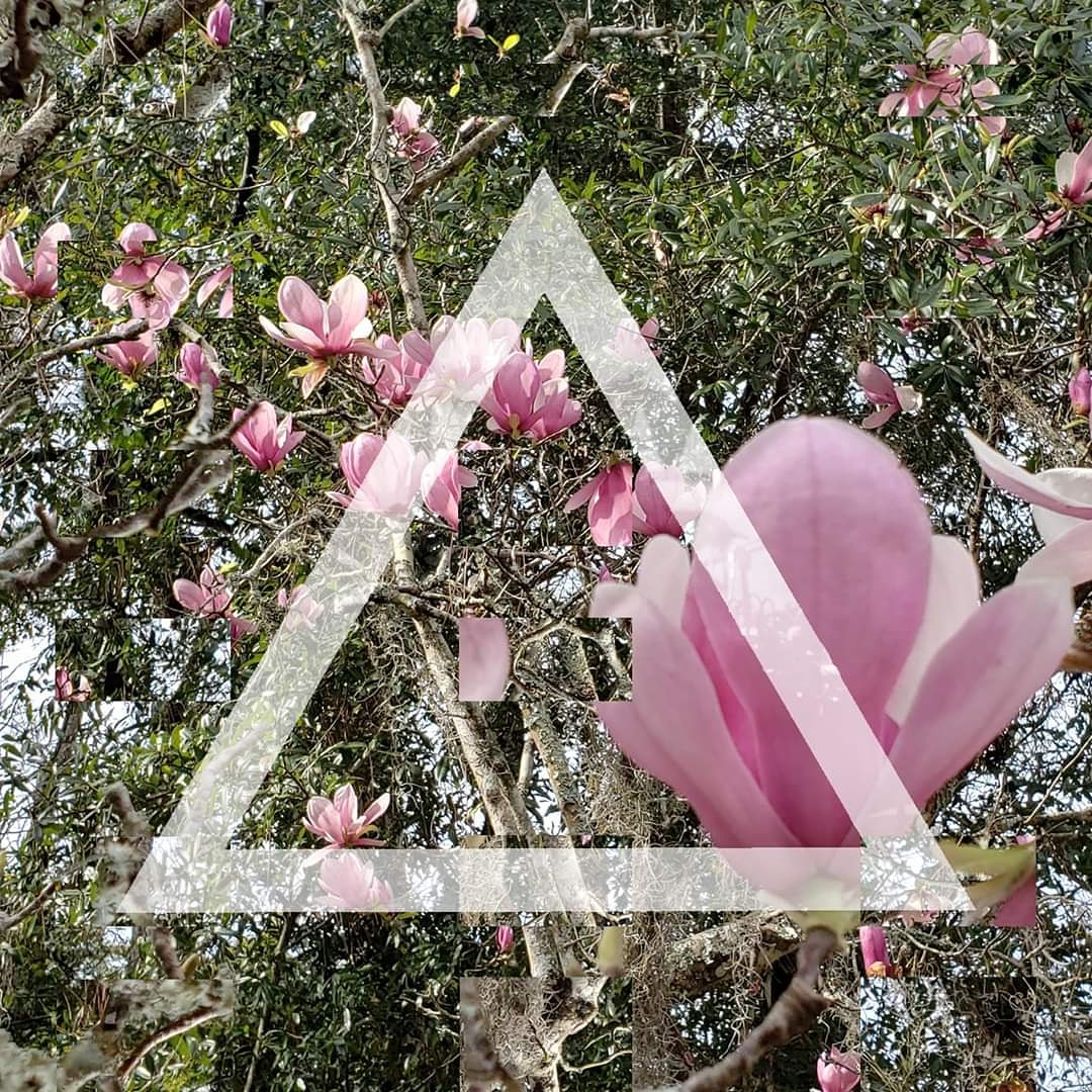 BubbaCrumrine's tweet photo. "A Pod Apart" drops 7/3 #BandcampFriday 6 tracks, 11 collaborators. All proceeds to the Black Trans Advocacy Commission Mission https://t.co/s6C8r48JLP