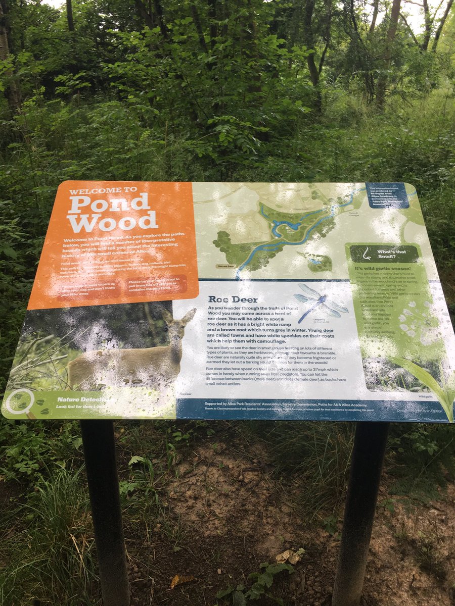 mazbabe's tweet photo. So lucky to live in such a beautiful area , lovely 5 miles on the bike , around the wetlands, the Devon and pond wood and a stop off at old docks. #alloa #clacks #scotland #scenery #riverforth #riverdevon #blackdevonwetlands #pondwood #bike #muddytrails https://t.co/jJqRYsYFid