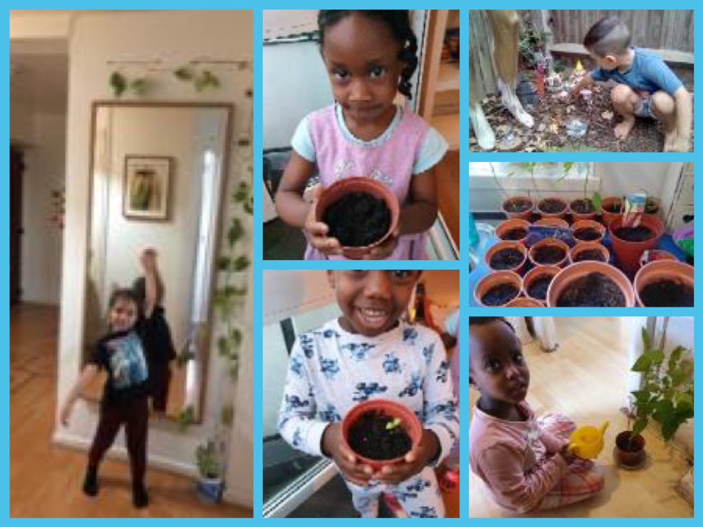 N_ThinkersHMPS's tweet photo. Amazing we are so proud of you all...Look at Nursery class showing their naturals thinkers skills at Home #planting and #growing I wonder what you might plant?  @MsJGrieveHMPS @HerbMorrPriSch @MissWardHMPS https://t.co/PCM9aPvX3R