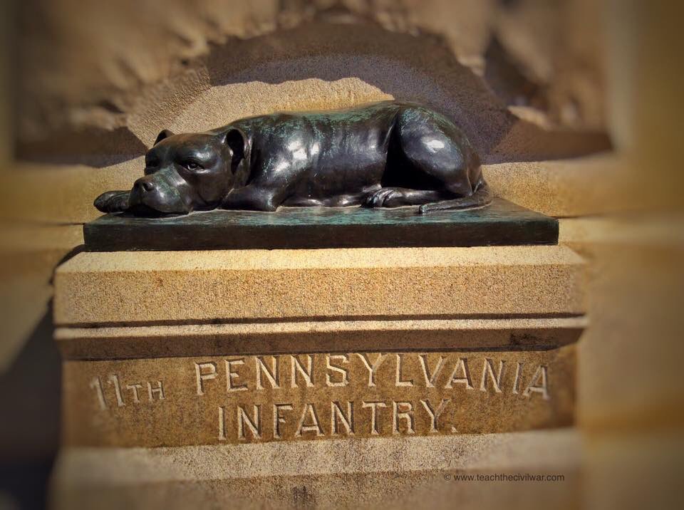fifer1863's tweet photo. As Union troops fell back into the town of Gettysburg, Sallie, the mascot of the 11th Pennsylvania was left behind with the wounded of the regiment.  She was later found alive along side the wounded. https://t.co/ig8Ky9NOjC