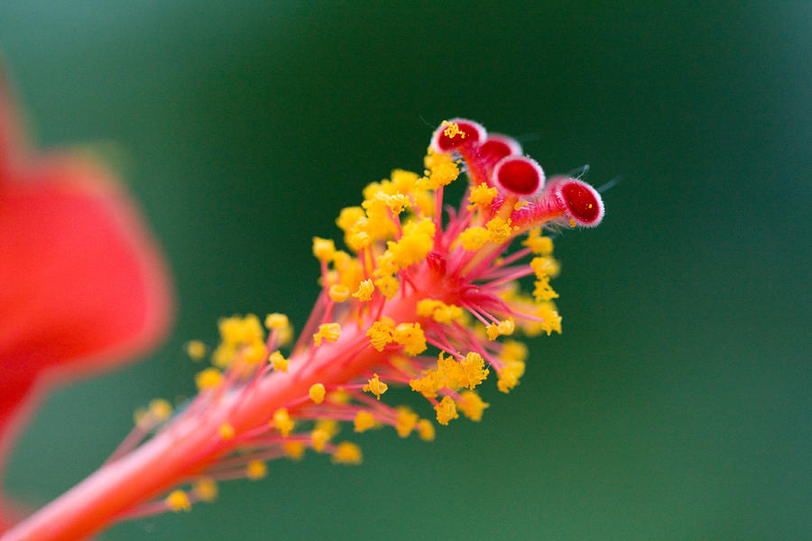 கொங்குத் தமிழகம்= குட (மேற்கு) திசை!குடக் கோச் சேரல் என்பதில், குட= மேற்கு.மேற்குத் தொடர்ச்சி மலை தாழ் வரைகளில்..காடழித்து, நாடாக்கி வாழ்ந்த பழந்தமிழர்கள்!காட்டின் பூக்களால், கொங்கு (பூந்தாது/தேன்)அப்பகுதி மிகுதியாகி, கொங்கு நாடு எனப்பட்டது!அறிக: கொங்கு, ஜாதியே இல்லை!