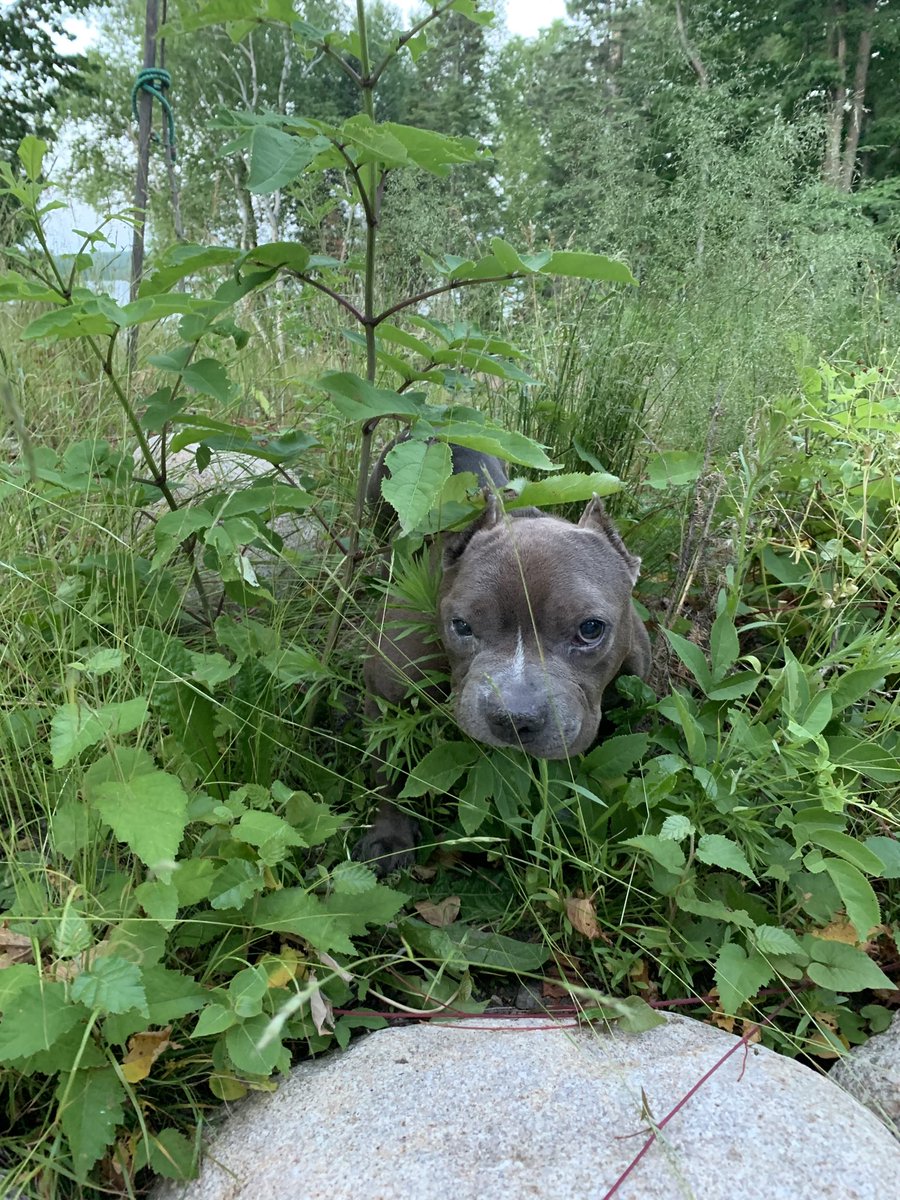 Hazel Devick tweet media