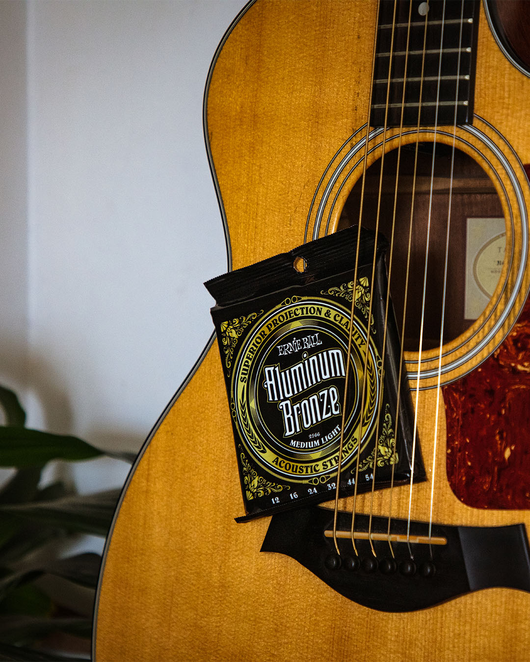 Ernie ball aluminum bronze sale acoustic guitar strings