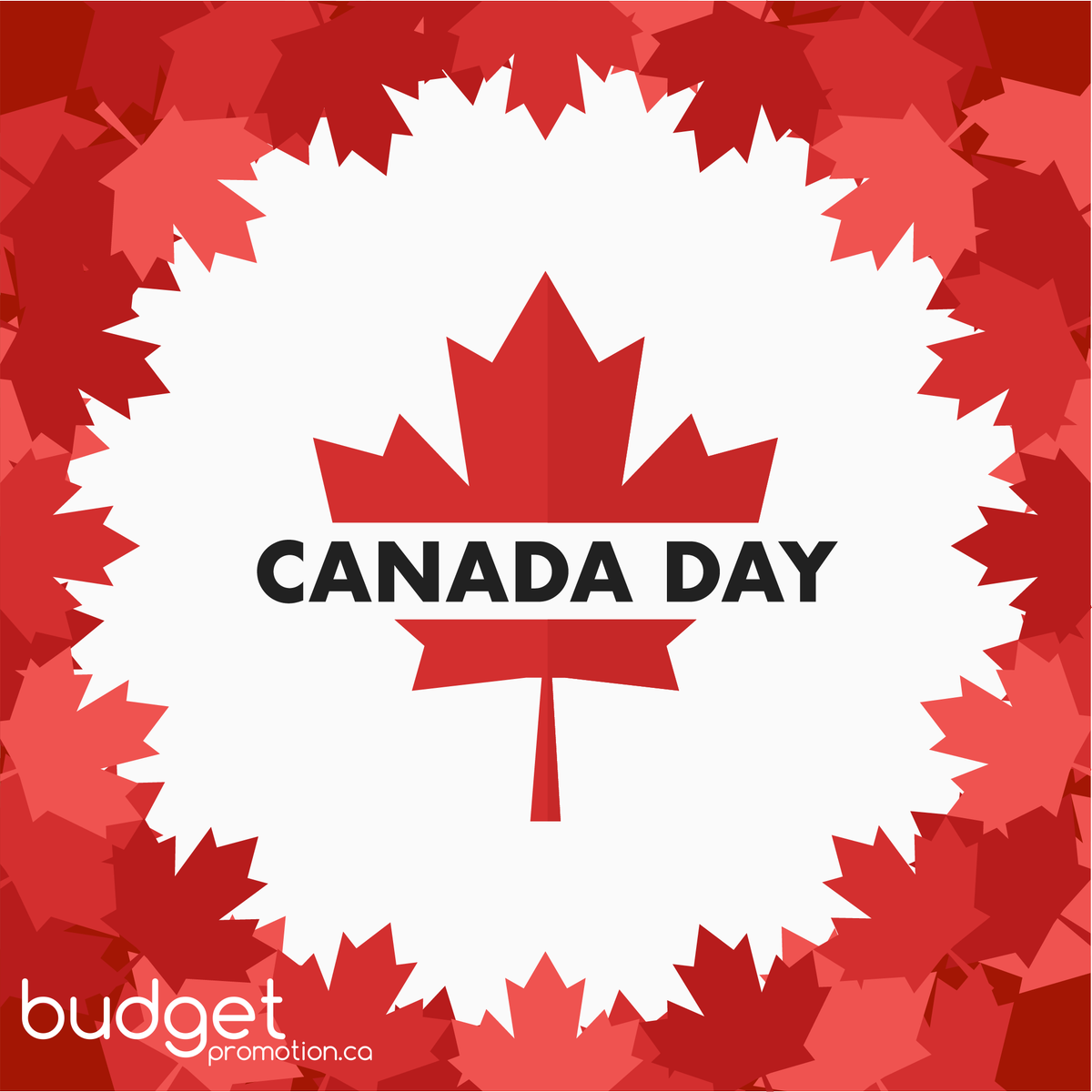 BudgetPromotion's tweet photo. Happy Canada Day!
.⠀
.⠀
.⠀
#canadaday #canadaday2020 https://t.co/5RdETVepi3