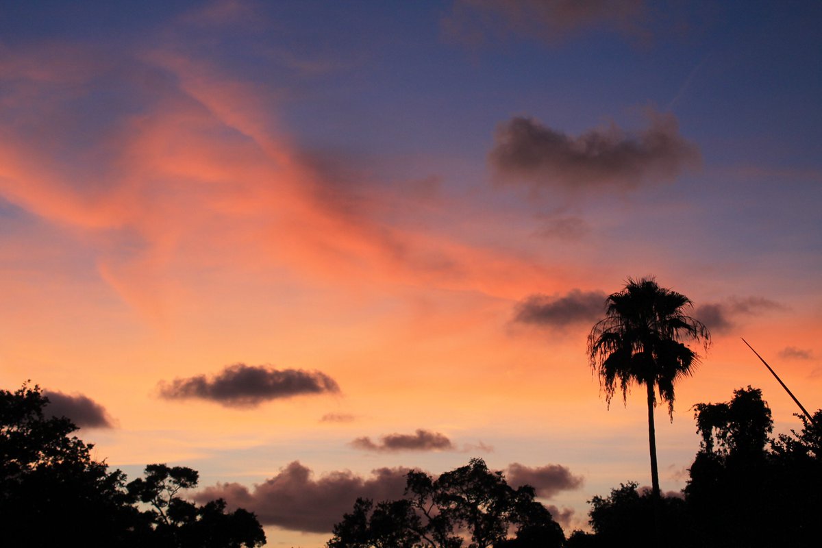 Michael51386294's tweet photo. @bn9weather Sunset from last night was spectacular. Got this right from my porch in Seminole https://t.co/pA458dgFmW