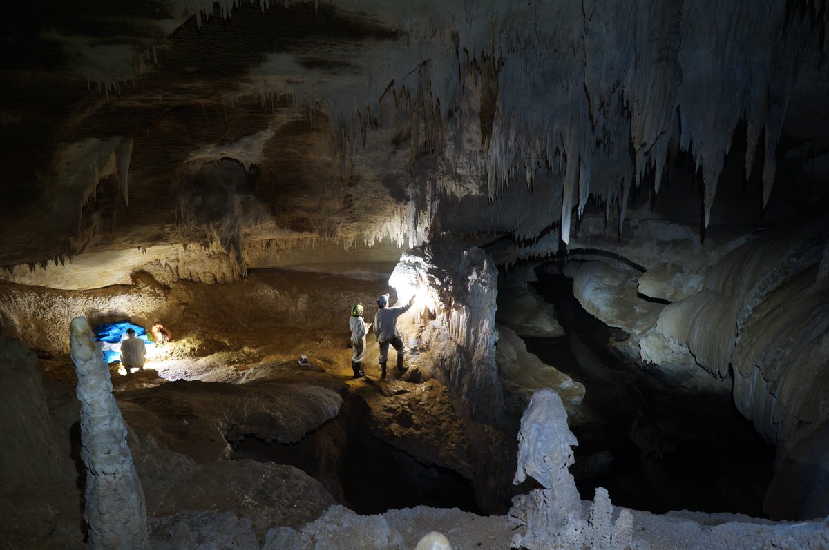 The response of Waipuna Cave, Aotearoa/New Zealand to Pacific climate over three years is now publised in the open access <a href="/EGU_HESS/">HESS Journal</a>. Felicidades! <a href="/Caves_Rocks/">Cinthya Nava</a> with @SFMBreitenbach <a href="/OlaKwiecien3/">Ola Kwiecien</a> <a href="/pucicu/">uɐʍɹɐɯ ʇɹǝqɹou 🕊</a> <a href="/BMarieWard/">Brittany</a> <a href="/DavidHodell/">David Hodell</a> for project <a href="/SpeleoQuest/">Speleo QUEST</a> 

hydrol-earth-syst-sci.net/24/3361/2020/
