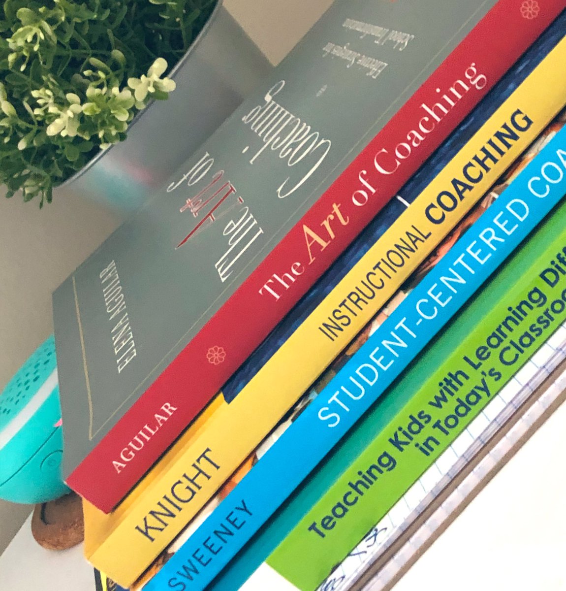 Beth McDonald tweet media