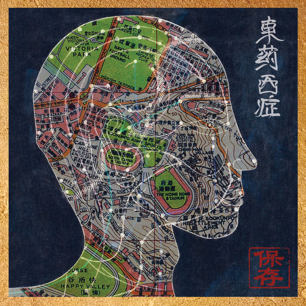 20. Preservation- Eastern Medicine, Western Illness. He flipped samples from vinyls he found in Hong Kong & recruited MCs like Roc Marciano, Ka, Mach Hommy, & Quelle Chris to drop verses. Standout tracks: Correspondence, North Bridge, I78/ Capillaries.