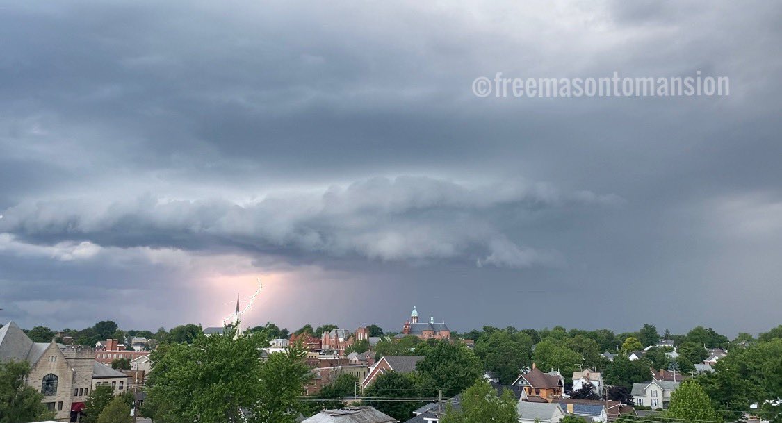 Theresa Cannizzaro tweet media