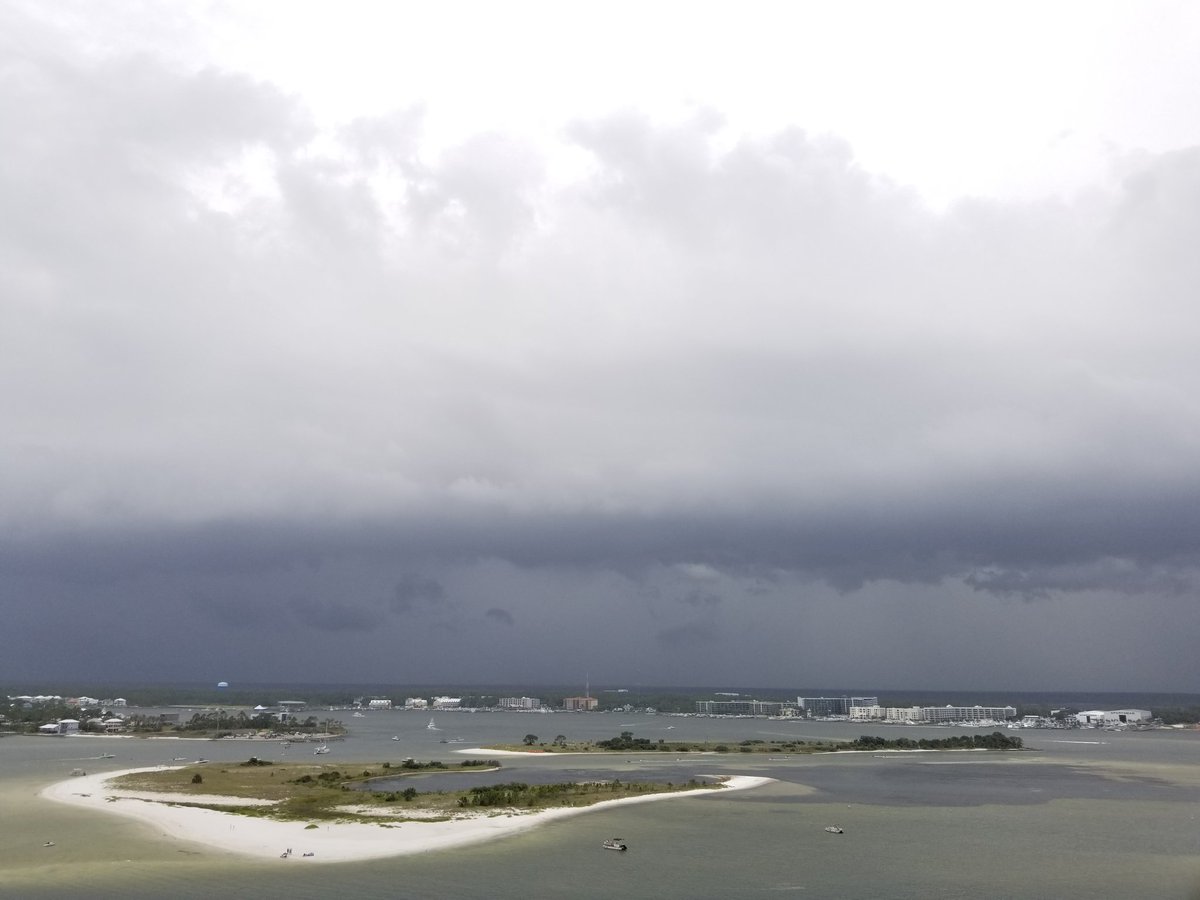 Sarah Padgett tweet media