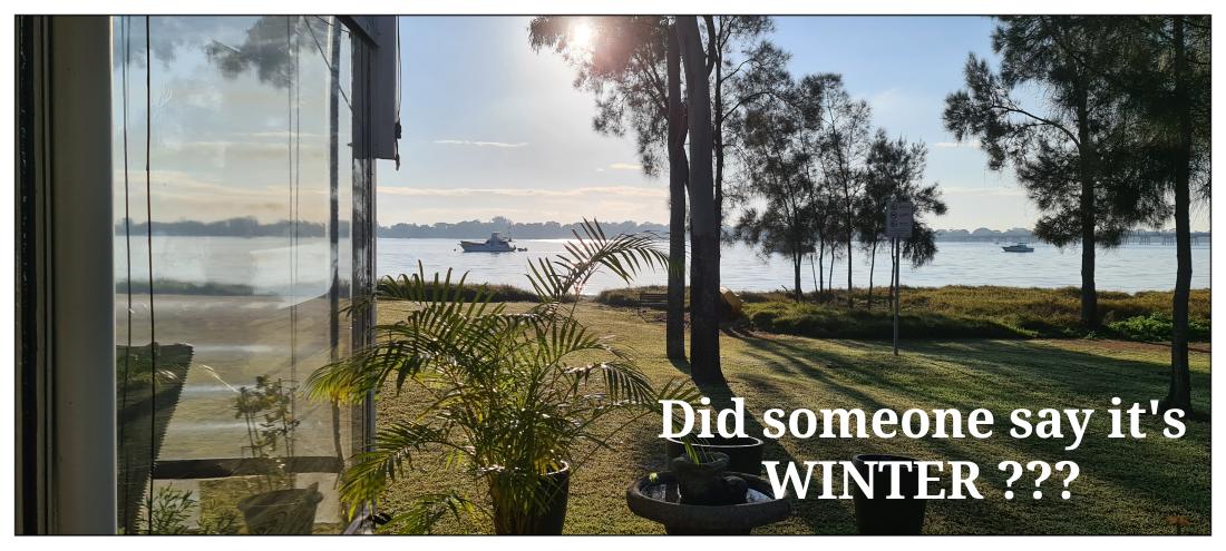 flashfarley's tweet image. #bribieisland
#yourlocalbusiness 
#bribieonline