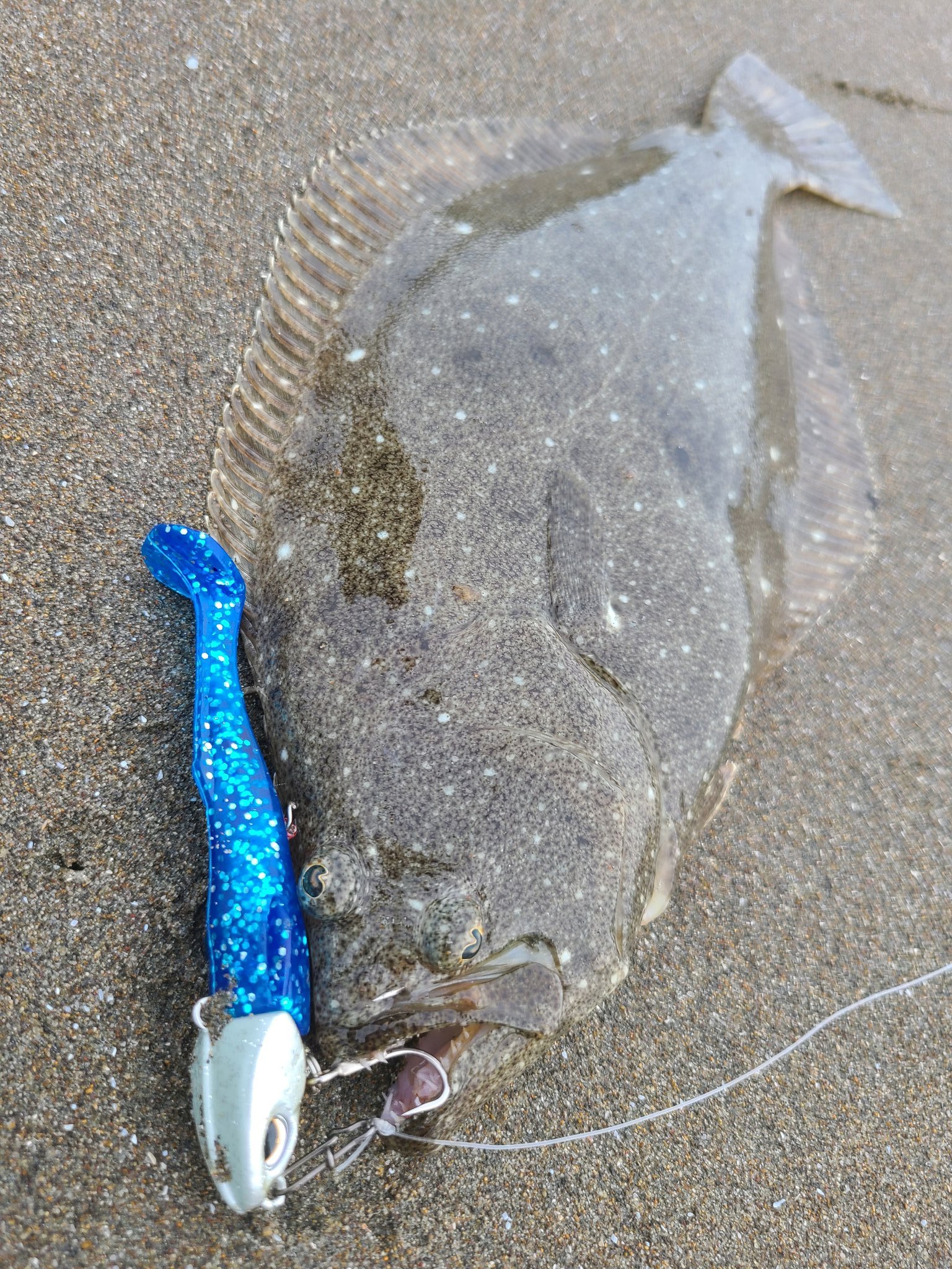 イイジマ ソゲって魚が2匹釣れました 笑 Duointernational Beachwalker ジャンゴ アクシオンスリム 鹿島灘 鹿島灘サーフ Newルアー ヒラメ マゴチ T Co Hx9k5wmjy4 Twitter