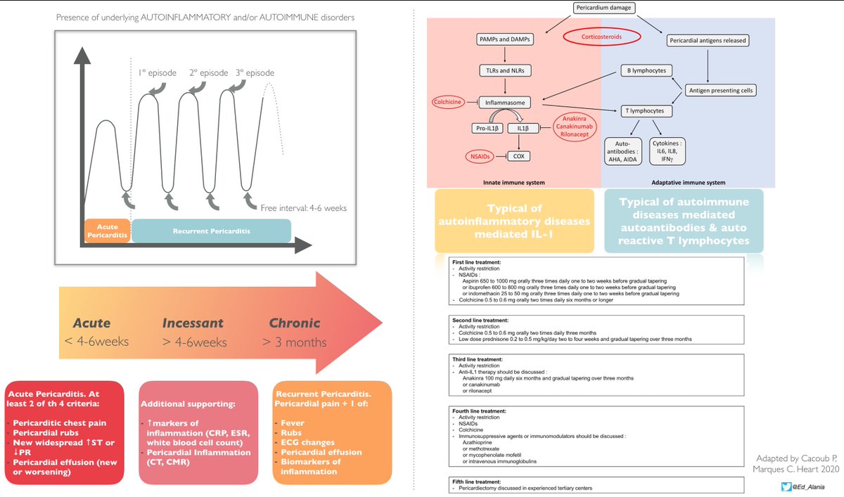 Edgardo Alania (@ed_alania) on Twitter photo 🔴 Acute recurrent pericarditis: from pathophysiology towards new treatment strategy #CardioEd #cardiotwitter
📁 dx.doi.org/10.1136/heartj… via <a href="/Heart_BMJ/">Heart_BMJ</a> <a href="/DrPascalMeier/">Pascal Meier,MD</a> <a href="/ALEX_MISCHIE/">ALEXANDRU MISCHIE</a> <a href="/SABOURETCardio/">SABOURETCardiologist</a> <a href="/MihaiTrofenciuc/">Mihai Trofenciuc</a> <a href="/fazalabul/">kazi ferdous</a> <a href="/torresviera/">José Miguel Torres Viera</a> <a href="/mencardio/">Ivan Mendoza</a> <a href="/CardioIAN/">IANCARDIOLOGY</a> <a href="/PeroneFrancesco/">Francesco Perone</a> 🔴 Acute recurrent pericarditis: from pathophysiology towards new treatment strategy #CardioEd #cardiotwitter
📁 dx.doi.org/10.1136/heartj… via <a href="/Heart_BMJ/">Heart_BMJ</a> <a href="/DrPascalMeier/">Pascal Meier,MD</a> <a href="/ALEX_MISCHIE/">ALEXANDRU MISCHIE</a> <a href="/SABOURETCardio/">SABOURETCardiologist</a> <a href="/MihaiTrofenciuc/">Mihai Trofenciuc</a> <a href="/fazalabul/">kazi ferdous</a> <a href="/torresviera/">José Miguel Torres Viera</a> <a href="/mencardio/">Ivan Mendoza</a> <a href="/CardioIAN/">IANCARDIOLOGY</a> <a href="/PeroneFrancesco/">Francesco Perone</a>