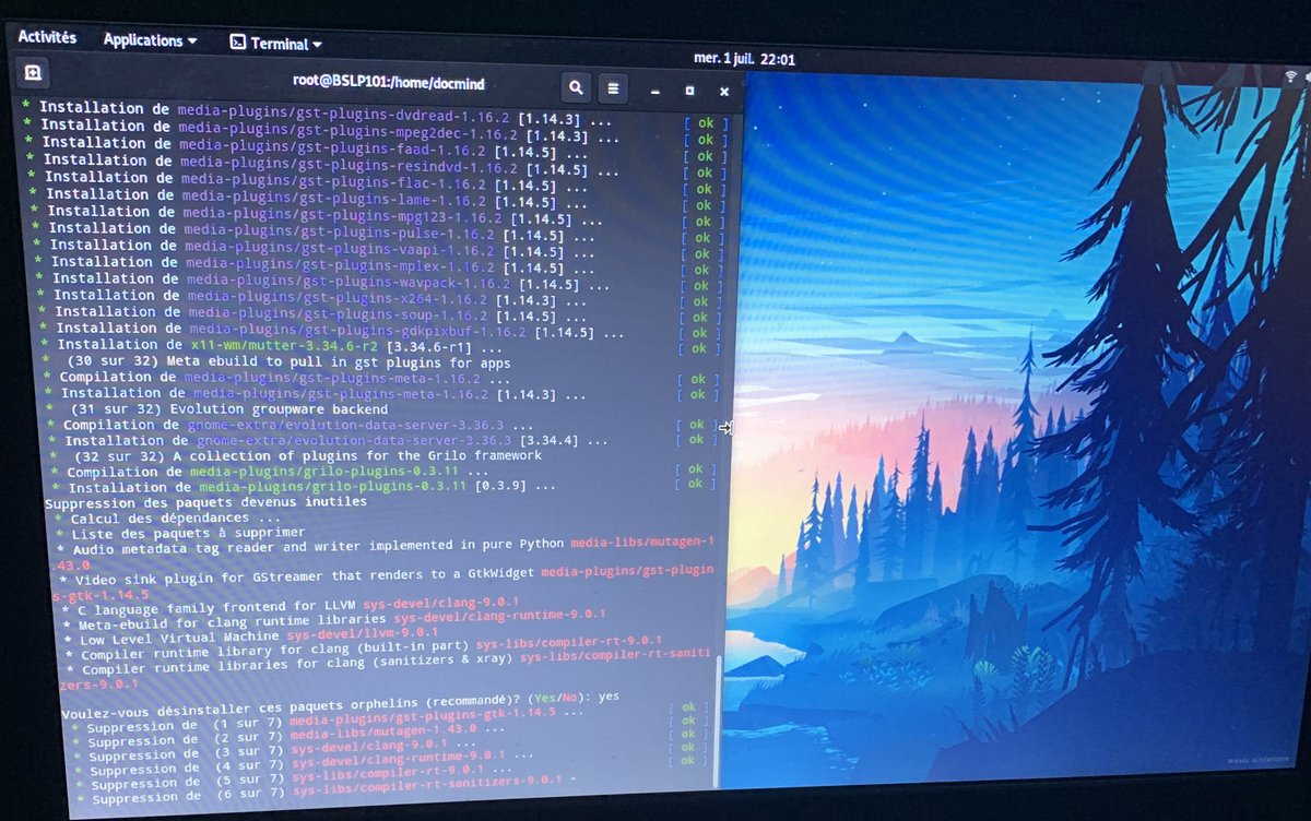 alphouine's tweet image. Mon premier cl-update. Je suis trop ému 🥺. Aucune fumée à l’horizon ou de tremblement de terre🤭. @calculatelinux @gentoo #Linuxtricks