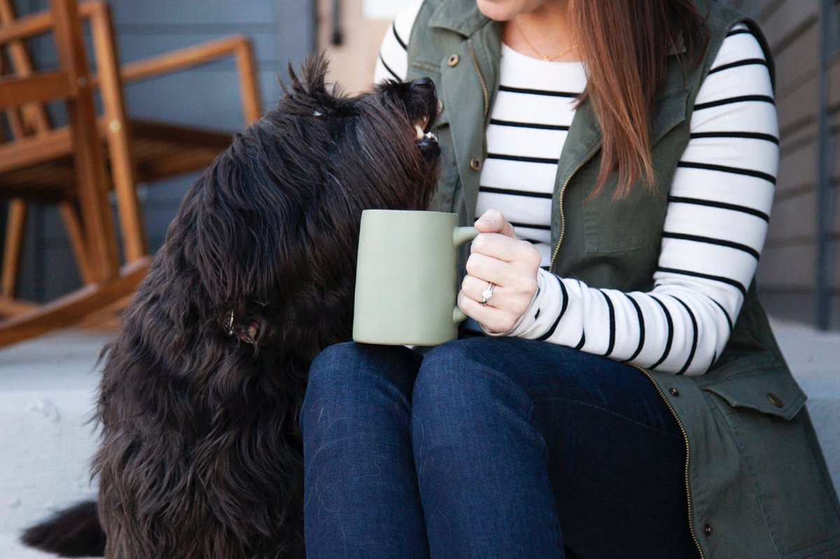 compendium317's tweet image. If you&apos;ve visited Compendium Group headquarters, you know we actually report to two furballs. We want to see photos of your furry companions! Post a photo in the comments below and tell us about the day you met your furry BFF. #compendiumgroup #doglovers