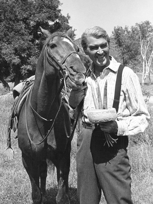 ese conflicto.La guerra y las experiencias familiares de Stewart, su bien conocida devoción a las mascotas, incluyendo a Pie, el caballo que montaba en la mayoría de sus películas del Oeste, sirvieron para unirlo con muchos seguidores de sus personajes del cine.