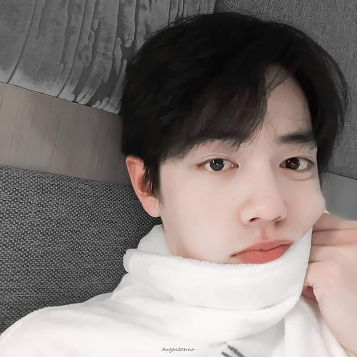 MEKAEW3's tweet photo. ฉันคลั่งรักพี่จ้าน 💚❤
พี่จ้านน่ารักเท่าโลก🐳
#SaveXiaozhan #XiaoZhan肖战
#XiaoZhan #จ้านเกอตี้ตี่อ้ายหนี่
#พี่จ้านในมือถือฉัน #จ้านป๋อ https://t.co/KIkYVOZfAF