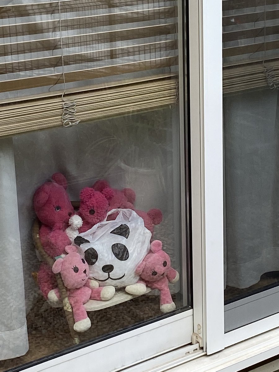 Postpetとの思い出